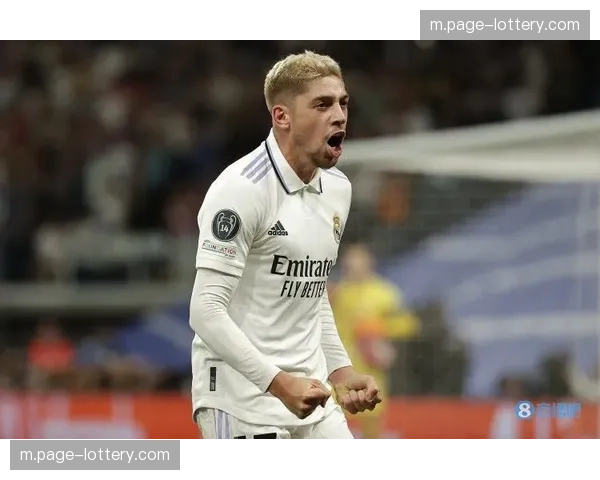 皇马楚阿梅尼卡马文加巴尔韦德中场,防守硬度支撑控场基础